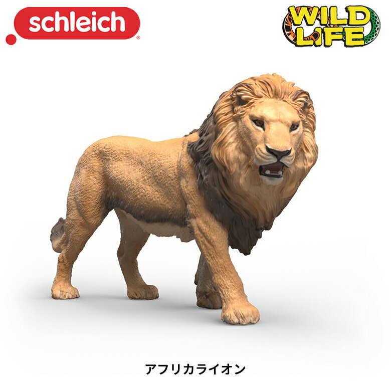 製品画像：16位