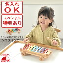 【おまけ付き】知育玩具 シロフォンカー エドインター おもちゃ あそび道具 鉄琴 名入れOK