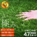 最高ランク!最安値挑戦!【レビュー特典あり】人工芝 芝生 人工 芝生 人工芝 グリーン 高品質 耐候性10年 超高密度47万本 芝丈 35mm 20mm ロール...