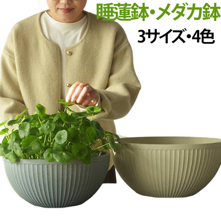 楽天市場】睡蓮鉢 激安（ガーデニング・農業｜花・ガーデン・DIY）の通販