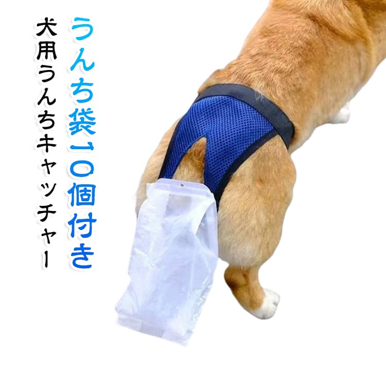 ベスト型 メッシュ通気性 秋 マナーパンツ ズレない 使い捨てうんち袋10個付き うんちキャッチャー 散歩グッズ 脱げない 漏れない 犬 服 春 夏 犬用 冬 うんちキャッチ 犬用 介護 お出かけ おむつカバー 犬用排泄物収集パンツ ペット衛生用品