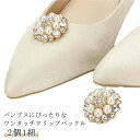 シューズクリップ デイリー 飾り シューズクリップ パンプス シューズアクセサリー クリップ シュークリップ 結婚式 靴飾り パール エレガント 靴クリップ パンプスクリップ 取外しOK 着せ替え ゴージャス パンプス 通勤 2個1組 入園式 入学式 卒園式 卒業式