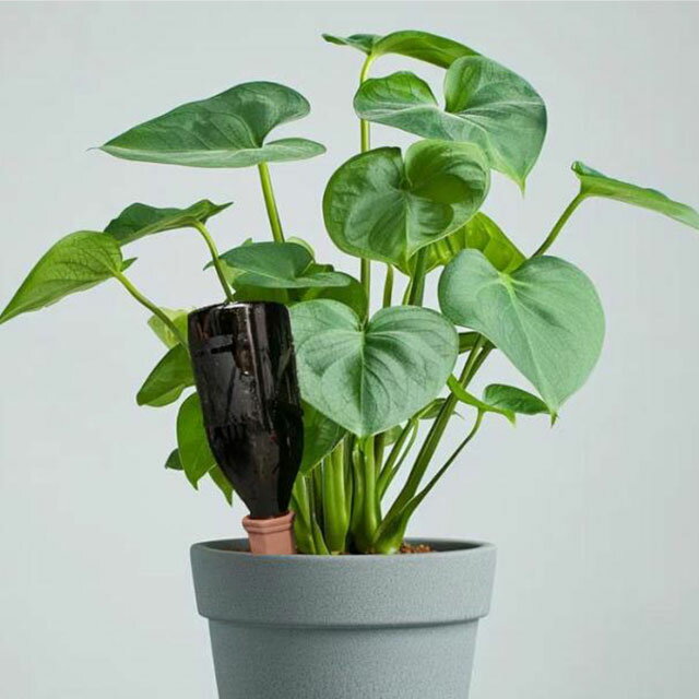 自動給水器 水差し 自動水やり器 6本セット　鉢植え 観葉植物 水やり セラミック製 ガーデニング 自動水やり 留守中も安心 ペットボトル対応 陶器 簡単 挿すだけ 鉢植え 観葉植物 プランター 液体 肥料 自動給水 水やり 自動 水差し 送料無料 3