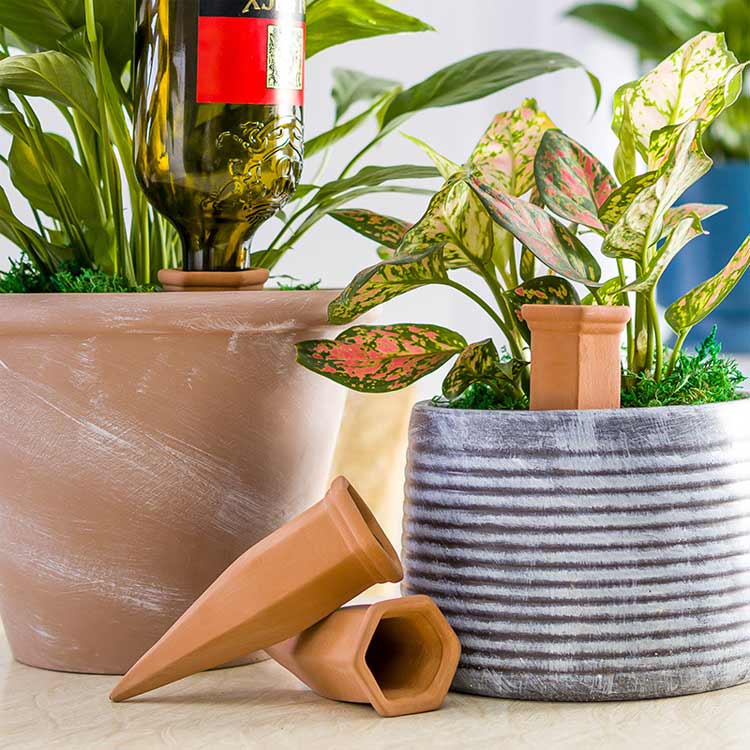 自動水やり器 植物 水やり 自動給水器 留守中も安心 ペットボトル対応 陶器 簡単 ...