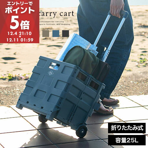 コンテナ キャリーカート 軽量 折り