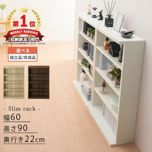 【組立品/完成品が選べる】 カラー