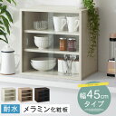 【P5倍 5/1迄】 【組立品/完成品が選