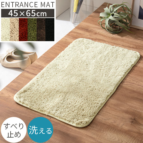 【期間限定！5%OFF】 玄関マット 室内 45×65 洗え