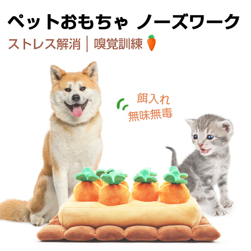 楽天1位 ノーズワーク 犬 にんじん 