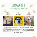 【ポイント15倍】楽天1位 ノーズワーク 犬 にんじん ペットおもちゃ ペット用品 知育玩具 ぬいぐるみ 人参 犬 SNSで大人気 いぬ 猫 ねこ 激安 遊び場所 性格改善 運動不足 嗅覚訓練 ストレス解消 犬歯磨き 食いちぎる対策 8個タイプ 送料無料 3