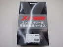 AVANTE アバンテ Xパワー XPJ0701-1 HD型 2006-2010年 レスポンスUP サン自動車