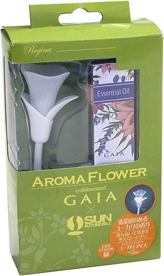 1000円ポッキリ サン自動車工業 レジーナ(Regina) Aroma Flower アロマフラワー DCプラグ同梱セット ユーカリプタス REG002M 車用芳香剤