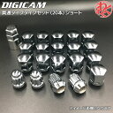 DIGICAN デジキャン ホイールナット ロックナット 1台セット 20個 19HEX LN62 P1.25 ショート 貫通タイプ D-LNS621912S ドライブ