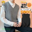 ゴルフベスト ニットベスト ゴルフウェア メンズ 春 秋冬 リブ Vネック 大きいサイズ おしゃれ カジュアル 暖かい ジレ 保温 シンプル 重ね着 トップス 秋物