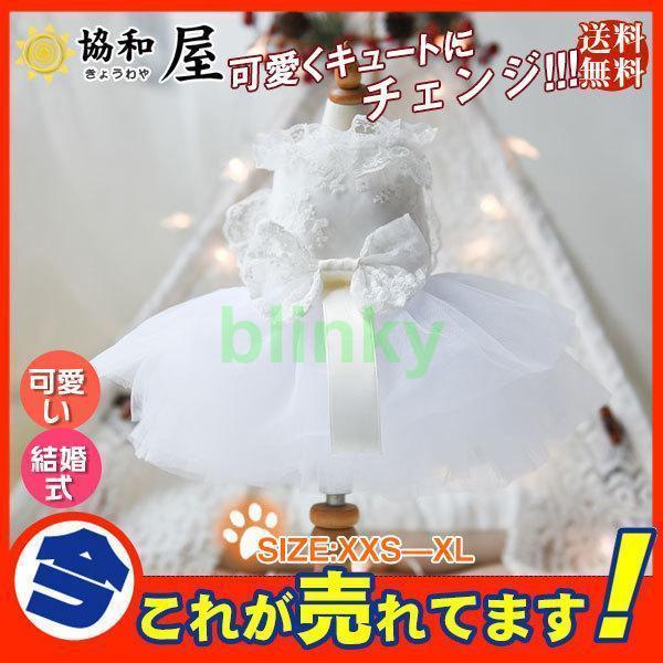 ڥåȥ ɥå  İ  եޡ ѡƥɥ쥹 뺧 ܥ ڥå  淿 