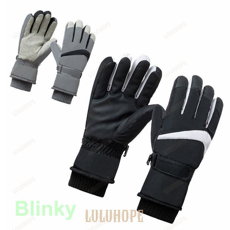 手袋 メンズ 防寒 裏起毛 冬 スキー スノーボード 自転車 バイク 運転 グローブ スポーツ 黒 保温