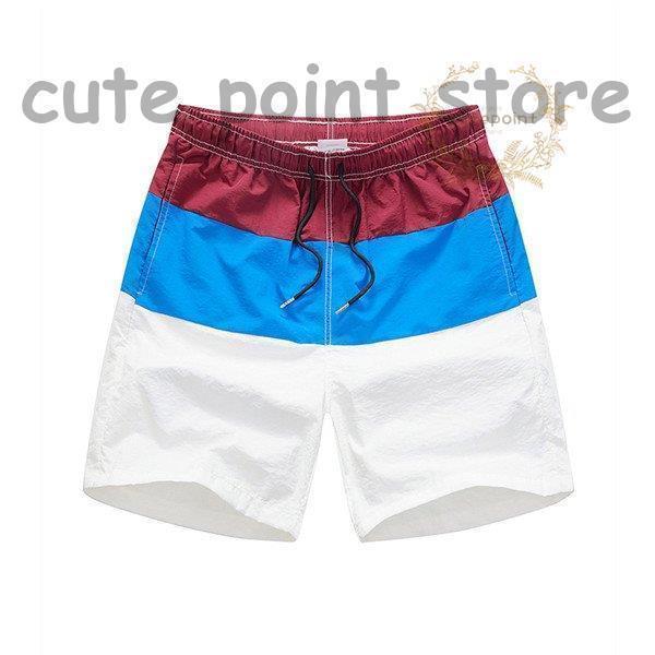 ジップファイブ サーフパンツ メンズ 海パン 水陸両用 無地 ボーダー 海水パンツ 大きいサイズ 男性用 ..