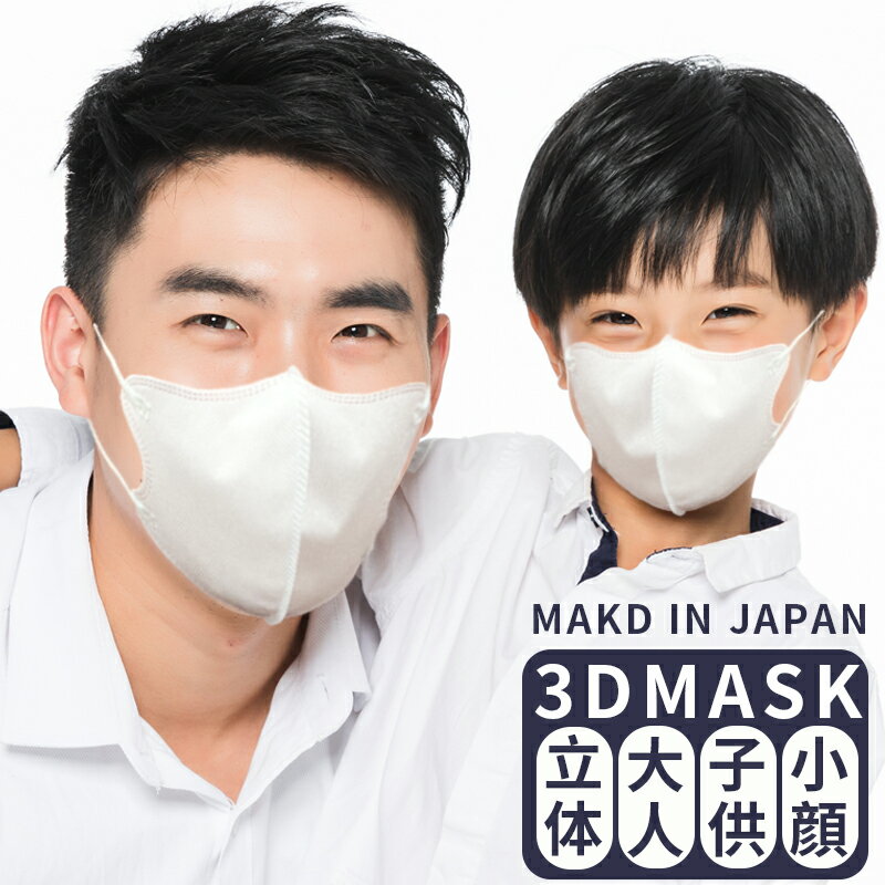 日本製 3Dマスク 薄型 2