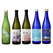 送料無料 日本酒セット 入門 飲み比べセット 720mL×5本 ■ 日本酒 甘口 フルーティー あまくち 甘い 飲み比べ 飲みくらべ セット 初心者 ギフト プレゼント 御祝 誕生日 成人 女子会 女性 女子 果月 桃 葡萄 にごり酒 生酒 母の日 父の日 2024