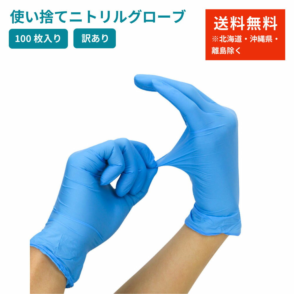 【日進医療器】【在庫あり】リーダー　プラスチックグローブ　Lサイズ（左右兼用タイプ）　100枚入