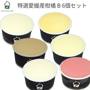 ジェラテリアUNO 特選愛媛産柑橘 B ジェラート 6個セット 90ml x6 紅まどんな せとか 不知火 いよかん 甘平 タロッコ ジェラート アイス シャーベット バースデー 誕生祝い 御中元 アイスギフト 氷菓 【送料無料】≪北海道・沖縄は送料無料対象外≫