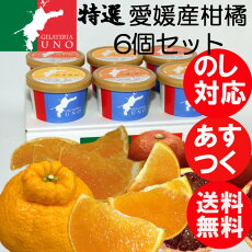ジェラート専門店ジェラテリアUNOの春の特選愛媛産柑橘詰合せジェラート6個セット
