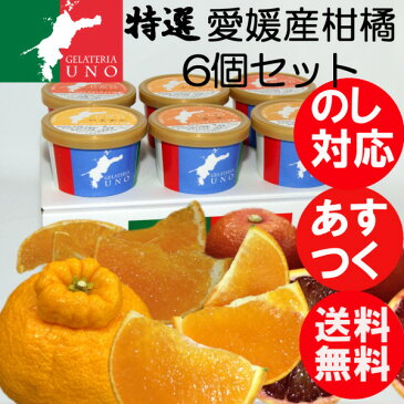 ジェラテリアUNO 特選愛媛産柑橘詰合せジェラート6個セット 紅まどんな せとか 不知火 いよかん ジェラート アイス シャーベット バースデー 誕生祝い 御中元 アイスギフト 氷菓【送料無料】≪北海道・沖縄は送料無料対象外≫