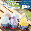 【お中元 ギフト スイーツ】GELATERIA GELABO ジェラボ 季節のジェラートおすすめセット 6個入 ジェラート アイス デザート フルーツアイス ア...