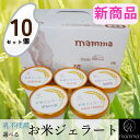 【送料無料】mamma お米ジェラート 10個 セット グルテンフリー アレルギー 対応 ジェラート アイスクリーム 手作り ギフト 詰め合わせ おすすめ プレ...