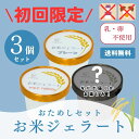 【初回購入限定】mamma お米ジェラート おためし 3個 セット グルテンフリー アレルギー 対応 ジェラート アイスクリーム 手作り ギフト 詰め合わせ お...