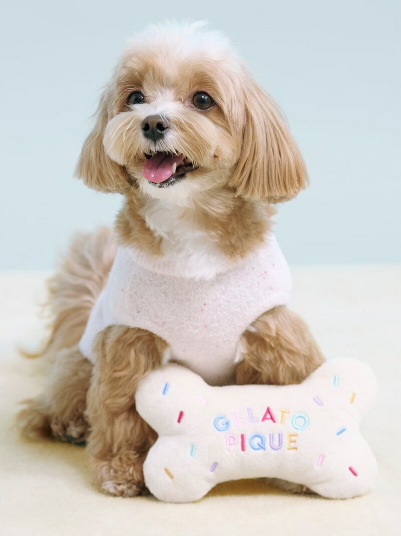 【CAT&DOG】【Birthday】ボーントイ GELATO PIQUE CAT&DOG ジェラートピケ ペット用品 その他のペット..