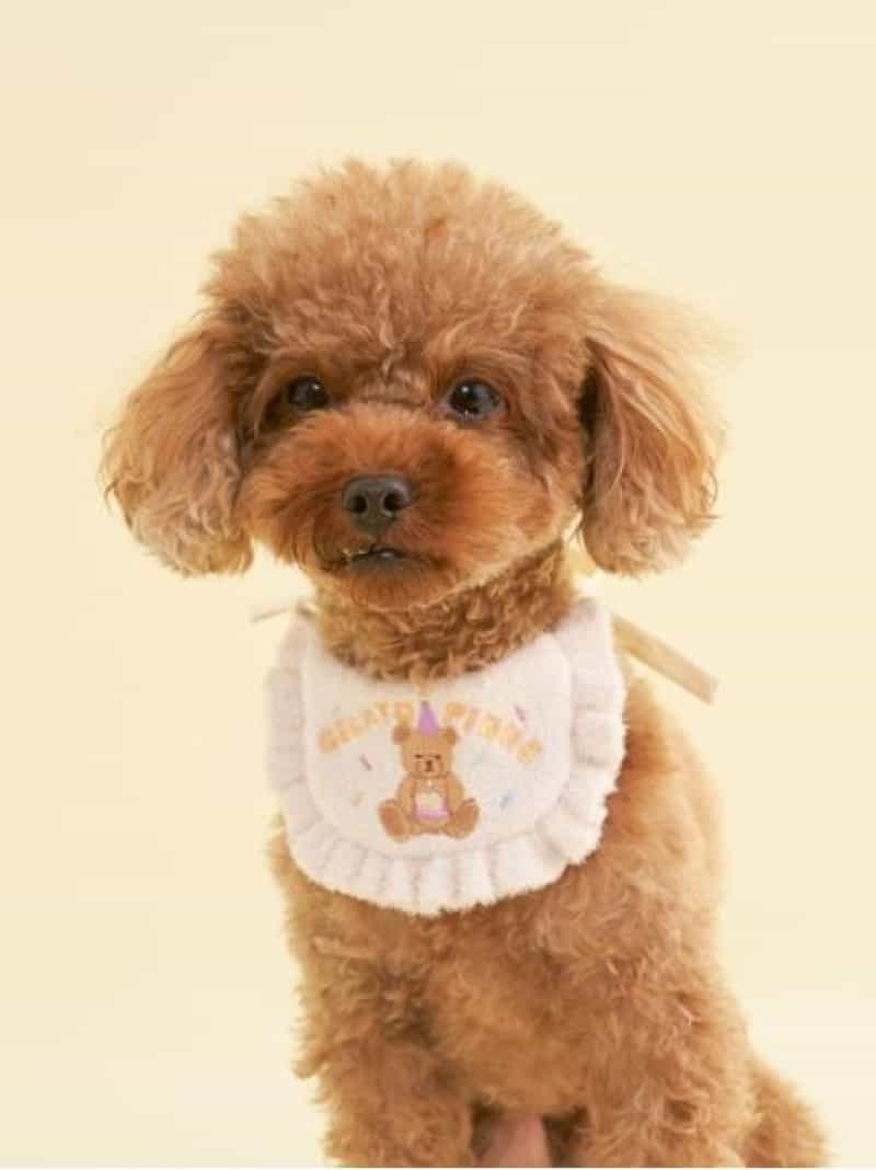 【CAT&DOG】【Birthday】スムーズィーバースデースタイ GELATO PIQUE CAT&DOG ジェラートピケ ペット用..