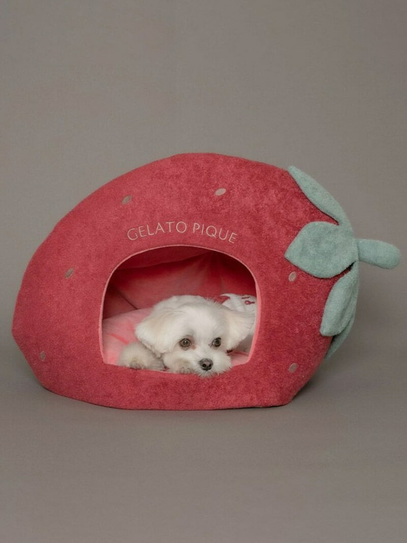 【CAT&DOG】【販路限定商品】スムーズィー ストロベリーハウス GELATO PIQUE CAT&DOG ジェラートピケ ペット用品 ペット用ベッド・マット・クッション レッド【送料無料】[Rakuten Fashion]のサムネイル