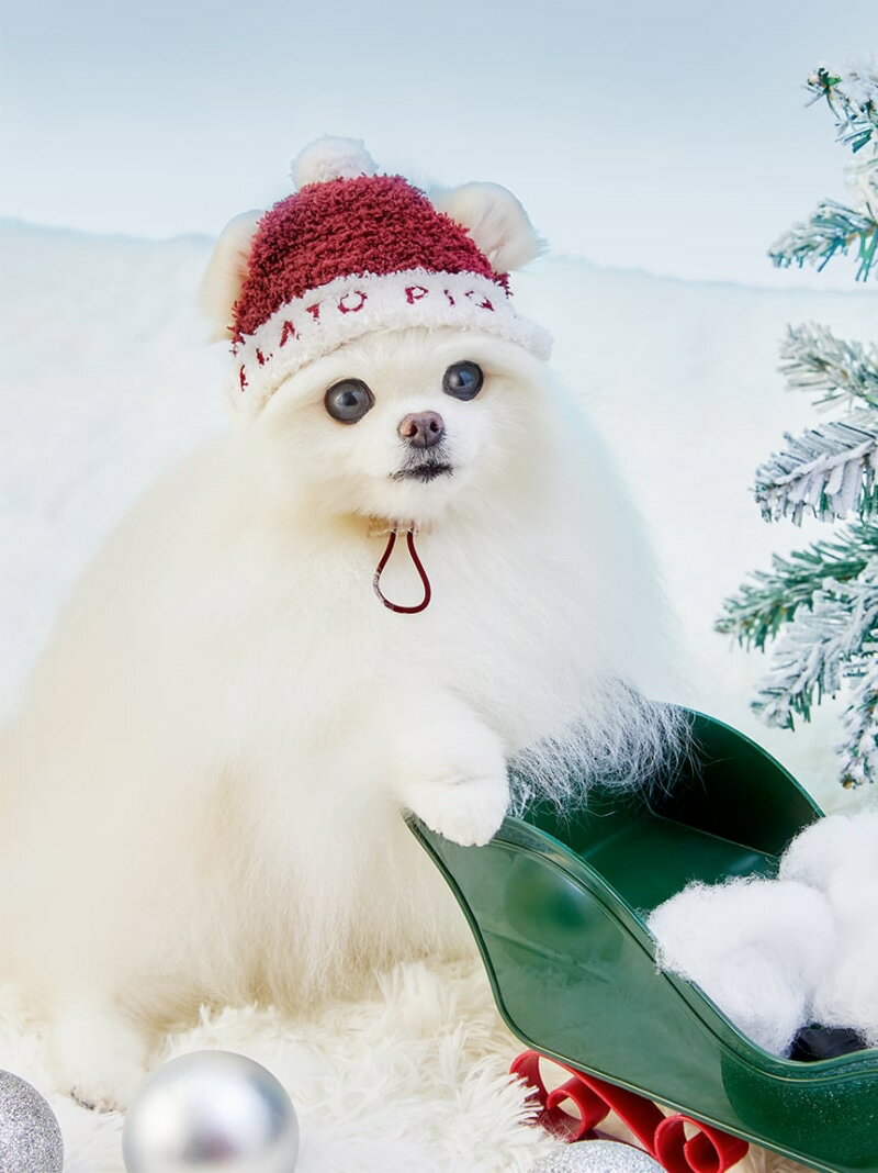 【HOLIDAY】【CAT&DOG】ベビモコサンタニットキャップ GELATO PIQUE CAT&DOG ジェラートピケ ペット用..