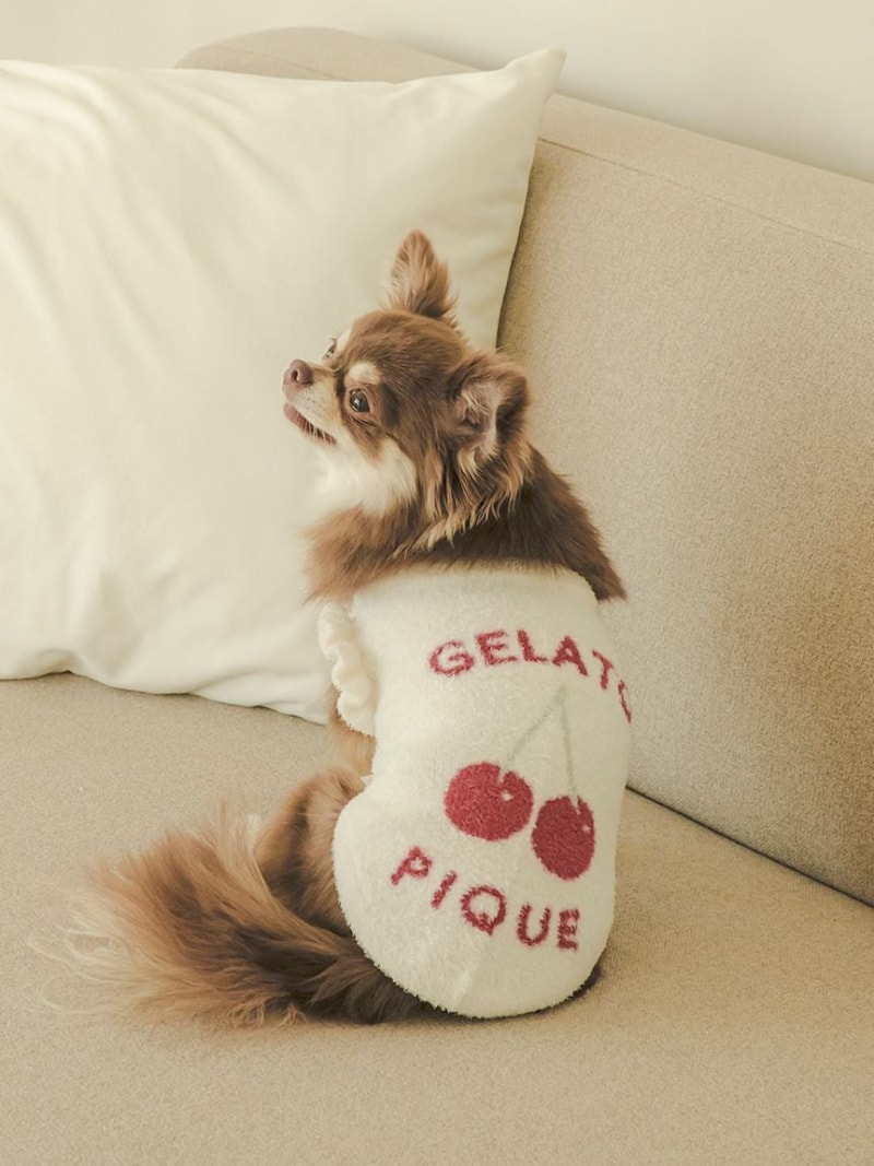 【CAT&DOG】スムーズィーチェリージャガードプルオーバー GELATO PIQUE CAT&DOG ジェラートピケ ペット用品 ペットウェア・ペット服【送料無料】[Rakuten Fashion]