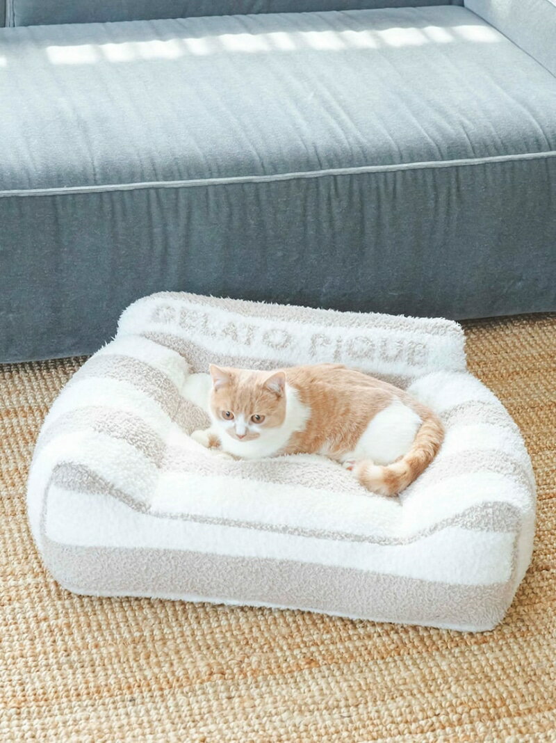 【CAT&DOG】【販路限定商品】ジェラートソフ...の商品画像