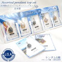 【弊社オリジナル】 日本銘石アソート ペンダントトップ 《ランダム》 5点セット サージカルステンレス製 SUS316L 天然石 パワーストーン