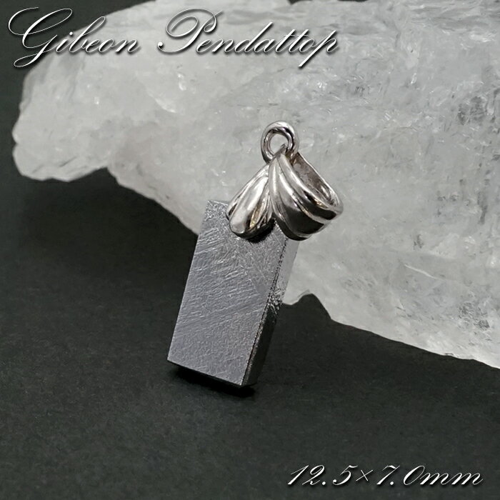 【一点物】 ギベオン ペンダントトップ シルバー プレート ナミビア産 SV925 日本製 メッキ加 ...