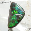 アンモライト ルース 5.6g カナダ産 Ammolite 一点物 アンモナイト 化石 希少石 お守り 天然石 パワーストーン カラーストーン