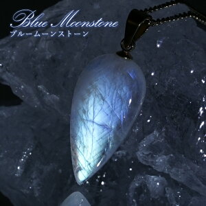 ブルームーンストーン ペンダントトップ 逆ドロップ形 スリランカ産 【一点もの】ステンレス Blue Moonstone 6月誕生石 天然石 パワーストーン
