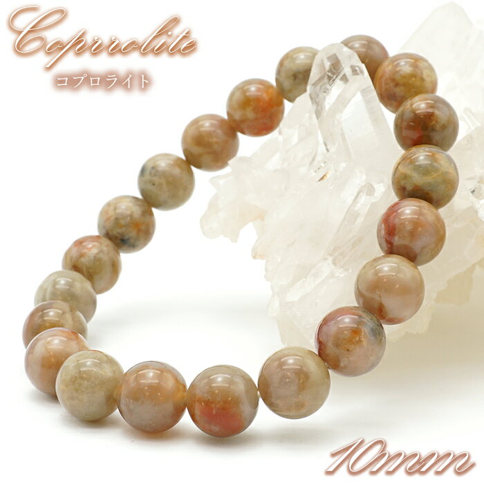 【楽天スーパーSALE 30%OFF】 コプロライト 10mm ブレスレット アメリカ産 【 一点もの 】 coprolite 恐竜 ユタ州 お守り 浄化 天然...