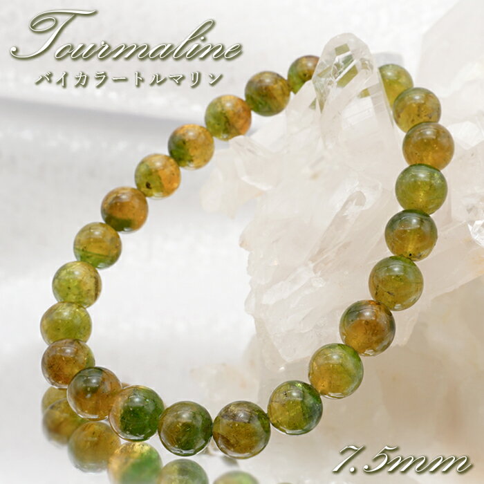 【楽天スーパーSALE 30%OFF】 バイカラートルマリン ブレスレット 7.5mm ブラジル産 【 一点物 】 Bicolor Tourmaline トルマ...