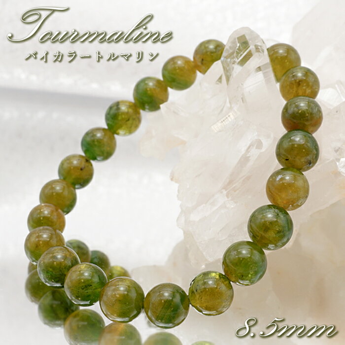 【楽天スーパーSALE 30%OFF】 バイカラートルマリン ブレスレット 8.5mm ブラジル産 【 一点物 】 Bicolor Tourmaline トルマ...