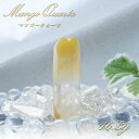 y _ z }S[NH[c  16.3g RrAY Mango Quartz nCTCgCNH[c ^gbNcC |Cg Zp 󏭌 A V VR p[Xg[ J[Xg[