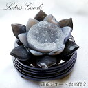 【楽天スーパーSALE 30%OFF】 メノウ 蓮 ジオード ブラジル産 木製台座付き 521g 【 一点物 】 agate 蓮の花ジオード 瑪瑙 めのう ジオ...
