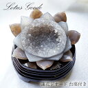 【楽天スーパーSALE 30%OFF】 メノウ 蓮 ジオード ブラジル産 木製台座付き 556g 【 一点物 】 agate 蓮の花ジオード 瑪瑙 めのう ジオ...