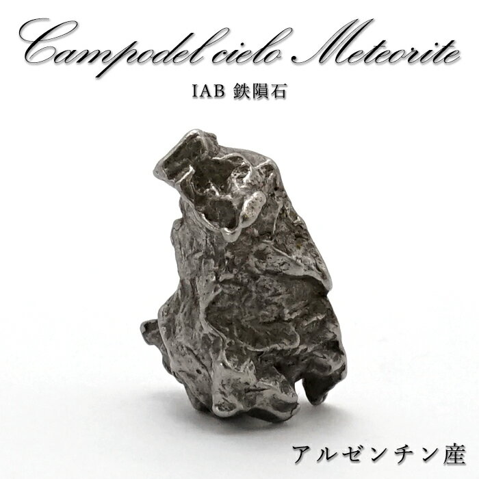 【楽天スーパーSALE 30%OFF】 【 一点物 】 カンポデルシエロ rare隕石 アルゼンチン産 IAB鉄rare隕石 カンポ・デル・シエロrare隕石 ...