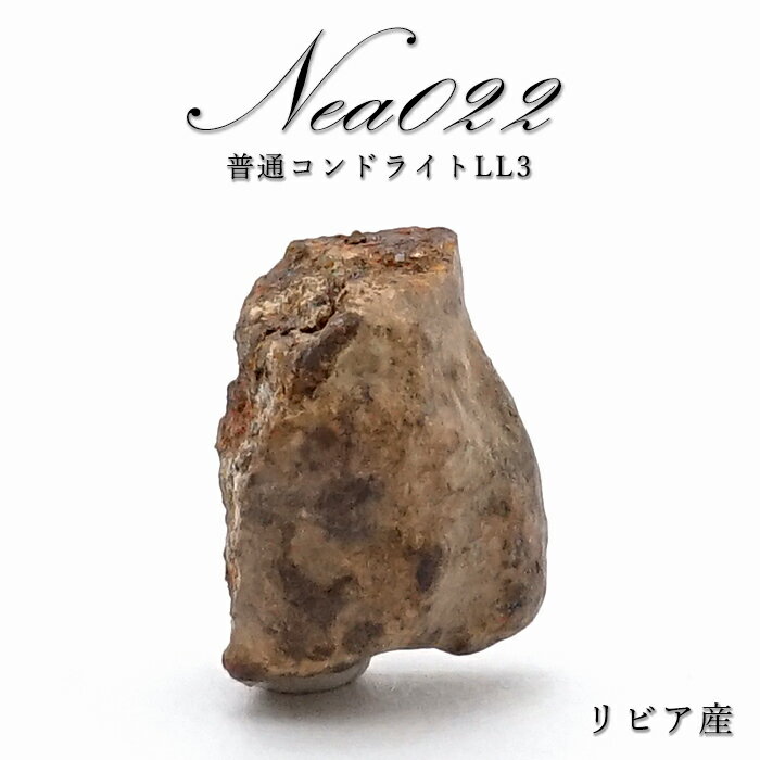 【楽天スーパーSALE 30%OFF】 【 一点物 】 NEA022 rare隕石 リビア産 普通コンドライトLL3 NEA022rare隕石 コンドライト 原...