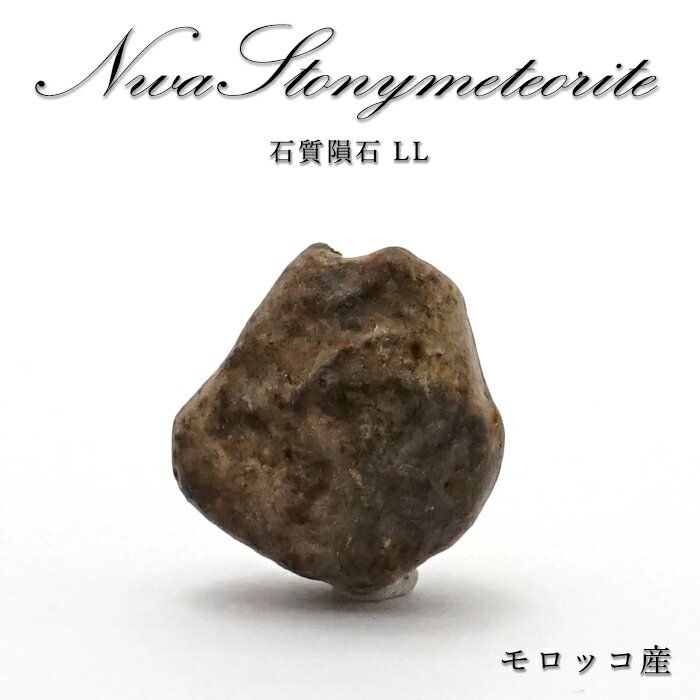 【楽天スーパーSALE 30%OFF】 【 一点物 】 NWA 石質rare隕石 モロッコ産 石質rare隕石LL NWArare隕石 原石 rare隕石 コン...