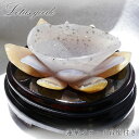 メノウ 蓮 ジオード ブラジル産 木製台座付き 【 一点物 】 agate 蓮の花ジオード 瑪瑙 めのう ジオード 金運 財運 浄化 置き物 浄化 台座付き お...